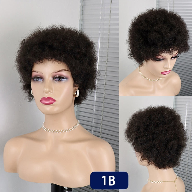 Short Curly Hair Wigs Pixie Cut Brazilian Human Hair For Black Women Natural Black Glueless Afro Kinky Curly Fluffy Hair Wigs