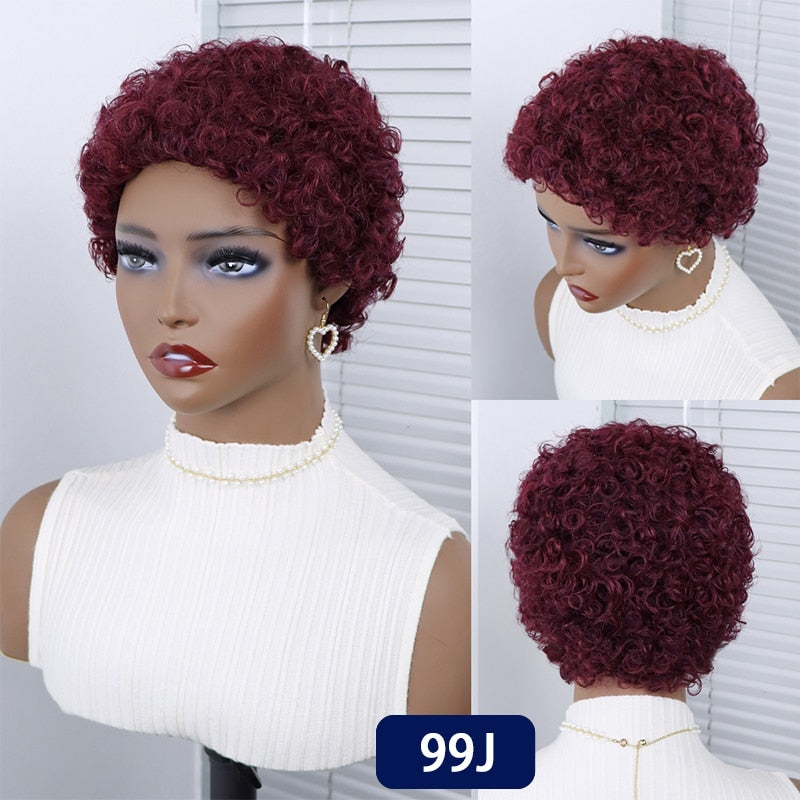 Short Curly Hair Wigs Pixie Cut Brazilian Human Hair For Black Women Natural Black Glueless Afro Kinky Curly Fluffy Hair Wigs