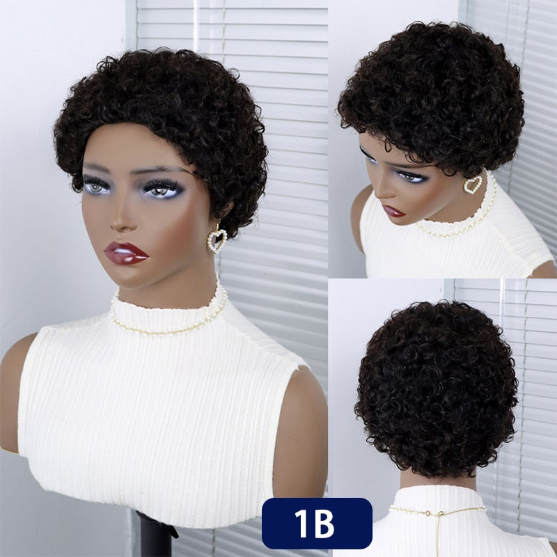 Short Curly Hair Wigs Pixie Cut Brazilian Human Hair For Black Women Natural Black Glueless Afro Kinky Curly Fluffy Hair Wigs