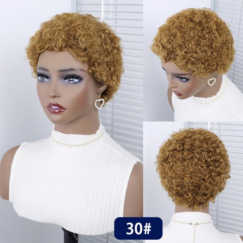 Short Curly Hair Wigs Pixie Cut Brazilian Human Hair For Black Women Natural Black Glueless Afro Kinky Curly Fluffy Hair Wigs