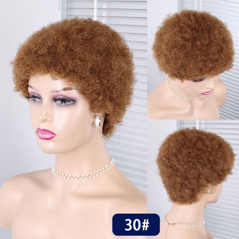 Short Curly Hair Wigs Pixie Cut Brazilian Human Hair For Black Women Natural Black Glueless Afro Kinky Curly Fluffy Hair Wigs