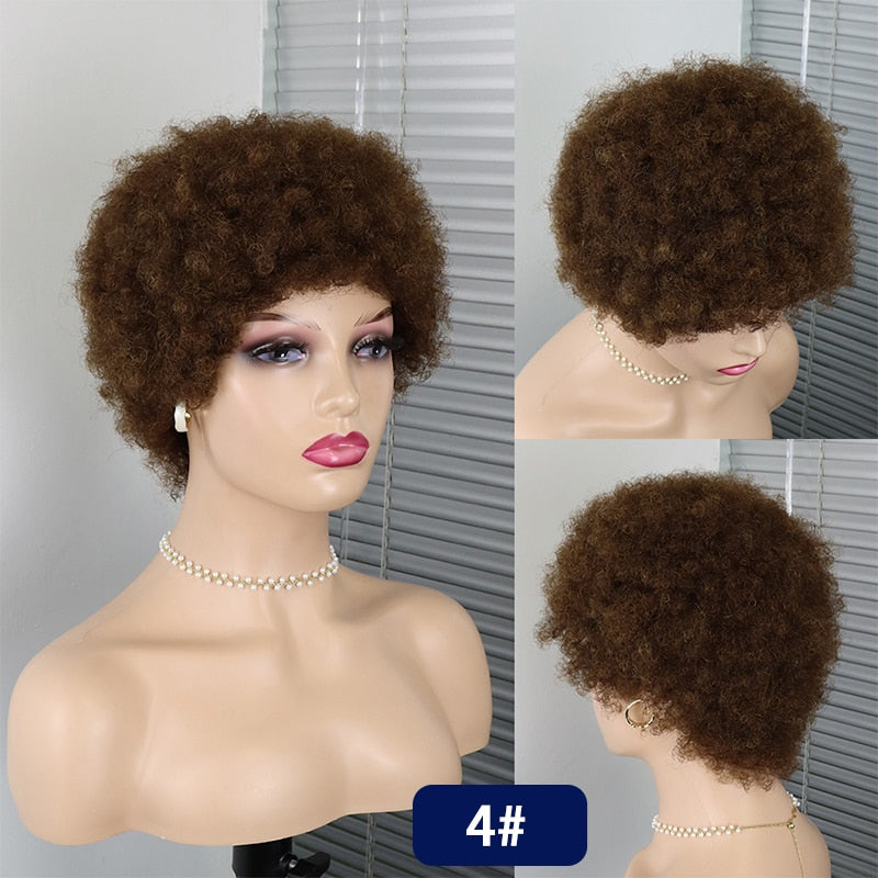 Short Curly Hair Wigs Pixie Cut Brazilian Human Hair For Black Women Natural Black Glueless Afro Kinky Curly Fluffy Hair Wigs